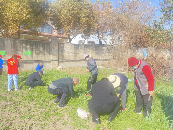 香港六合彩开奖结果查询